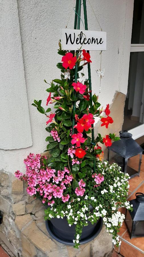 Munkacsy Apartmanok Balatonfenyves Bagian luar foto